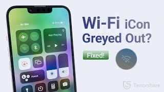 WiFi Assist Greyed Out on iPhone Settings FIXED [upl. by Goodhen]