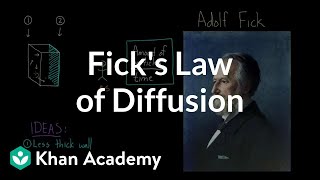 Ficks law of diffusion  Respiratory system physiology  NCLEXRN  Khan Academy [upl. by Ikkiv609]