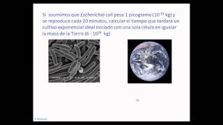 umh1399 Lec0022 Ecuaciones Crecimiento Microbiano [upl. by Herschel689]