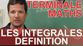 Les intégrales  Définition  Maths terminale  Les Bons Profs [upl. by Alyakim798]