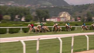 Haflinger Galopprennen in Meran [upl. by Syman]