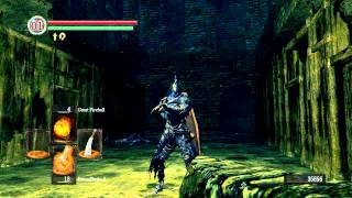 Dark Souls  My first Darkwraith Titanite Slab [upl. by Kobylak]