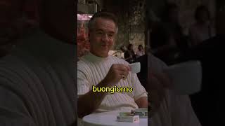 Paulie Walnuts Italian Trip sopranos shorts [upl. by Marlen596]