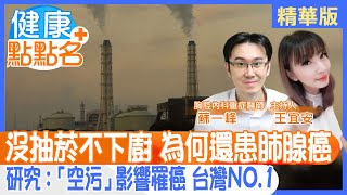 除家族史更易患肺癌外！不抽菸不下廚還是罹癌？ 研究指出：台灣人EGFR肺癌基因與“空污”有超級相關 [upl. by Anayhd]