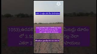 3 Acres Agricultural land sale sale Anantapur district Urakonda District AP Acre per 380000 only [upl. by Eirod]