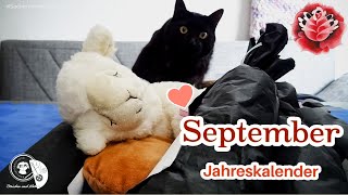 Jahreskalender September  Sockenwolle  Maschenschäfchen [upl. by Keryt]