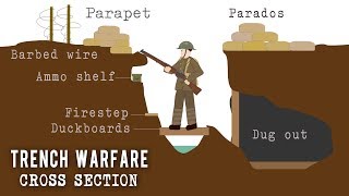 Trench Systems Cross Section [upl. by Llerreg861]