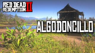 Ubicación Algodoncillo  Red Dead Redemption 2 [upl. by Ttreve]