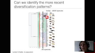 Inferring macroevolutionary processes based on phylogenetic trees [upl. by Pevzner]