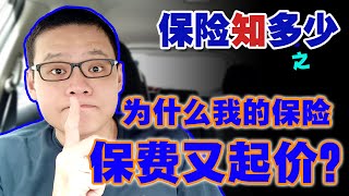 为什么我的保险保费又起价？Why is my insurance premium increase again [upl. by Potash60]