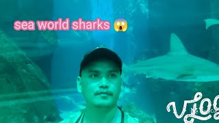 sea world abu dhabi tour mayam sea world da koiruse🤗🥰 [upl. by Shreve]