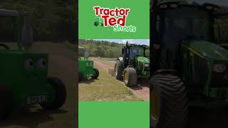 Getting The Gallop Ready 🐎  Tractor Ted Shorts  Tractor Ted Official Channel [upl. by Dolli]