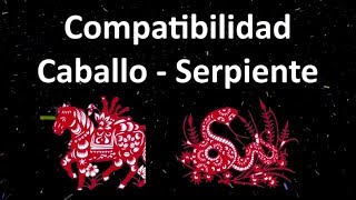 Compatibilidad Caballo  Serpiente Horóscopo Chino [upl. by Geminius]