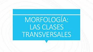 MORFOLOGÍA LAS CLASES TRANSVERSALES [upl. by Fidole]