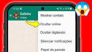 COMO TIRAR O ONLINE NO WHATSAPP APENAS PARA UM CONTATO [upl. by Regdirb]