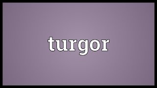 Turgor Meaning [upl. by Enileuqkcaj167]