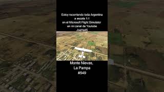 Comenten por donde quieren que pase 🇦🇷 montenievas lapampa argentina microsoftflightsimulator [upl. by Nnylrefinnej769]