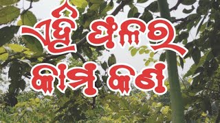 ଏହି ଫଳ କାମ କଣpahadhi urbanagriculture tisp urbanfarming [upl. by Orland]