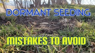 How amp When To Dormant Seed A Lawn Or Patch Of Bare Soil [upl. by Oflodur]