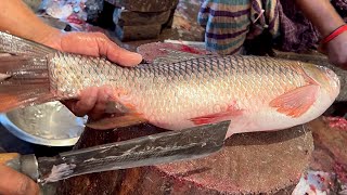 Excellent Cutting Skills  Big Rohu Fish Cutting By Expert Fish Cutter [upl. by Ad]