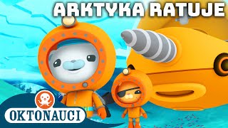 Oktonauci  🐻‍❄️ Arktyka ratuje ⛑️  Kompilacja  Całe odcinki [upl. by Oslec]