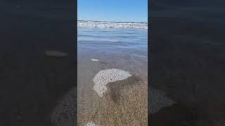 Whangamata Beach water and sand experience [upl. by Robert]