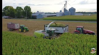 2020 Corn Silage Harvest at Congress Lake Farms [upl. by Danell]