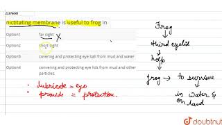 nectitating membrane is useful to frog in [upl. by Euqinorev]