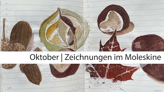 Moleskine Pocket Diary  Zeichnungen im Oktober 2022 [upl. by Initof983]