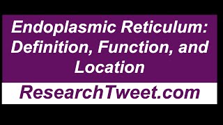 Endoplasmic Reticulum Definition Function and Location [upl. by Peskoff]