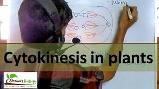 Cytokinesis Animal Plant  Biology  Genetics [upl. by Elleyoj678]