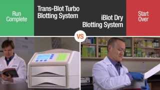 Battle of the Blotters TransBlot® Turbo™ vs iBlot Transfer Systems [upl. by Neehsuan]