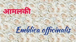 आमलकी ।। Emblica officinalis ।। dravyaguna ।। द्रव्यगुण ।। BAMS [upl. by Annabela]