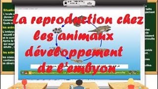 la reproduction chez les animaux  développement de lembryon [upl. by Jalbert]