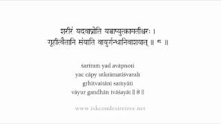 Bhagavad Gita Chapter 15 Sanskrit Recitation By His Grace Radha Gopinath Das [upl. by Alake418]