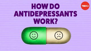 How do antidepressants work  Neil R Jeyasingam [upl. by Ayres]