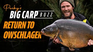 Peckys Big Carp Buzz  Return to Owschlager As seen on Korda Masterclass 4 [upl. by Jazmin420]