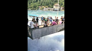 Reinfall Schaffhausen is one of the biggest waterfalls Europe travel [upl. by Andrew]