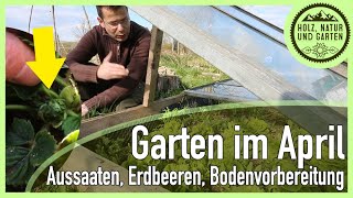 Gartenarbeiten im April Bodenvorbereitung Aussaat Erdbeeren Kompost usw [upl. by Latrina]