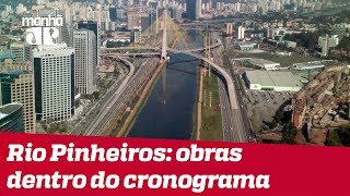 Despoluição do rio Pinheiros está dentro do prazo diz gestão Doria [upl. by Anaujait28]