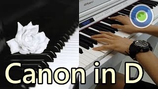 Canon in D 卡農鋼琴版 Piano version [upl. by Blasius]