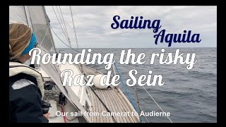 Sailing the Raz de Sein accompanied by dolphins 🐬🐬🐬 [upl. by Garibald]