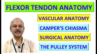 Flexor Retinaculum of Hand Anatomy Mnemonic and Explanation Video  Hand Anatomy Part 1 Upper Limb [upl. by Sairu]