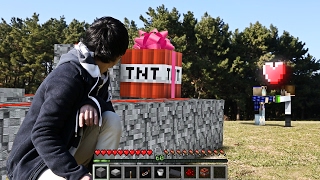 Minecraft in Real Life  TNT cannon  RATE [upl. by Tiffanle]