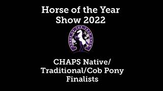 HOYS 2022 Coloured native  cob trad pony Finalists [upl. by Dlonyar]