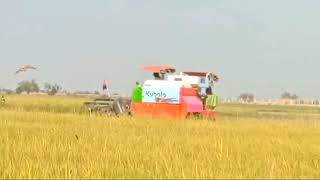 Farming Rice In Cambodia 5kubotatractor automobile [upl. by Nesbitt]