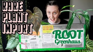 I imported more rare plants 🙃🪴 Root Greenhaus Haul [upl. by Ahtreb]