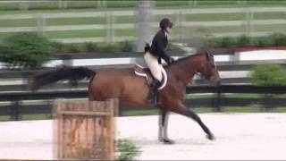 Video of EL CAPRICHO ELIAM HORTA ridden by BRIANNE GOUTAL from ShowNet [upl. by Hbaruas]