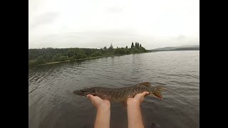 Pêche brochets et perches aux leurres sur le lac de Charpal [upl. by Lenes]