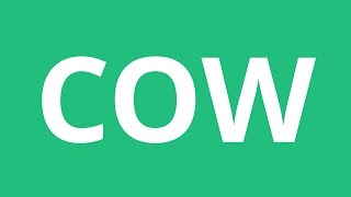 How To Pronounce Cow  Pronunciation Academy [upl. by Attolrac]